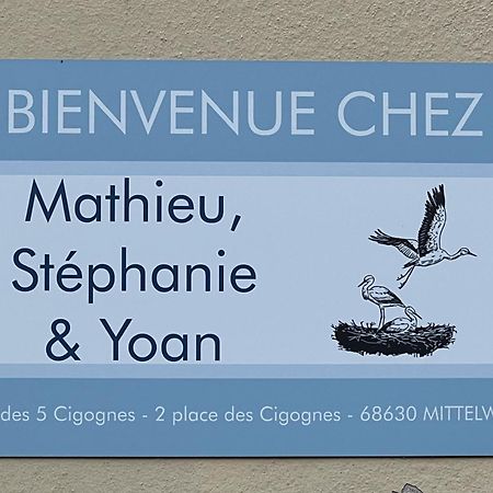 Gite Des Cigognes Bleu มิตเตลวีห์ ภายนอก รูปภาพ